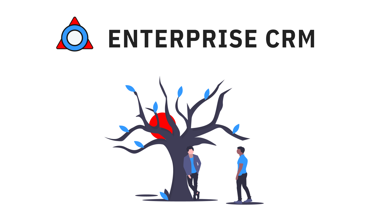 Enterprise C R M